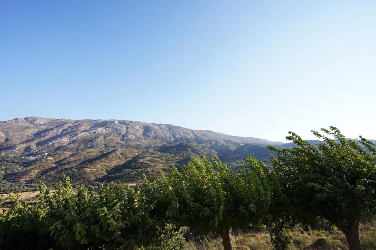 Villa Tzekos Kendrochori Esterno foto